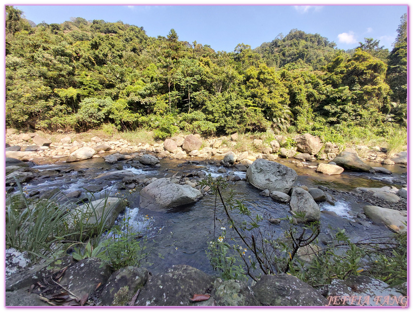 南庄生態旅遊,台灣旅遊,國際慢城南庄,苦花魚,蓬萊溪護魚步道