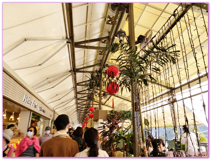 台灣旅遊,和美山,新北市新店,新店碧潭,碧潭人力擺渡