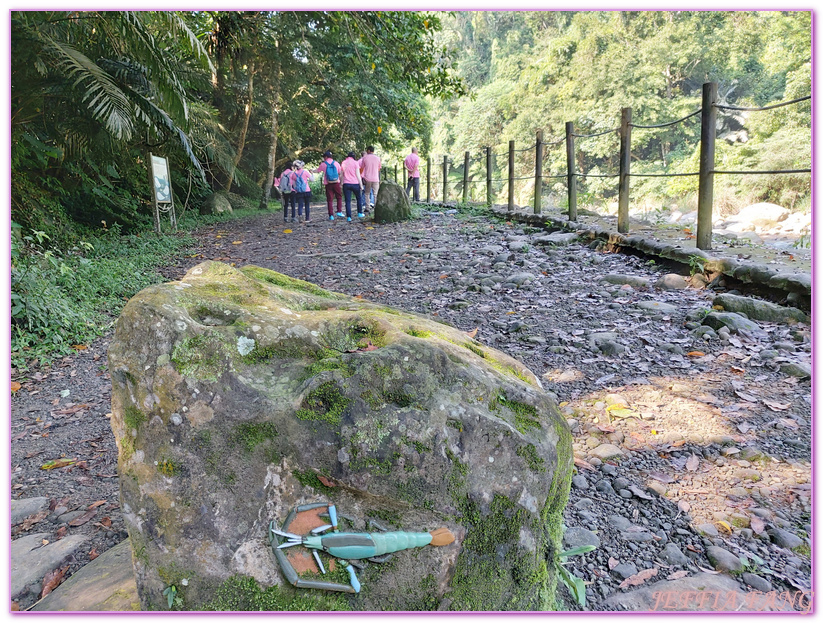 南庄生態旅遊,台灣旅遊,國際慢城南庄,苦花魚,蓬萊溪護魚步道 @傑菲亞娃JEFFIA FANG