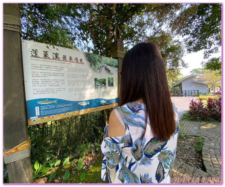 南庄生態旅遊,台灣旅遊,國際慢城南庄,苦花魚,蓬萊溪護魚步道