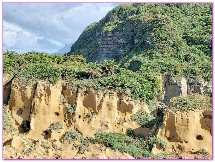 2021年台灣好行濱海奇基線,台灣旅遊　基隆,和平島,和平島公園,和平島公園冬季掀風潮活動