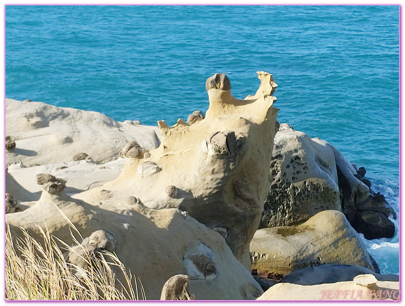 2021年台灣好行濱海奇基線,台灣旅遊　基隆,和平島,和平島公園,和平島公園冬季掀風潮活動