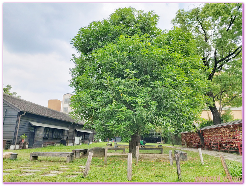 Hinoki Village,全台灣最大的日式建築群,全國第一個森林文創園區,台灣旅遊,嘉義旅遊,嘉義檜意森活村