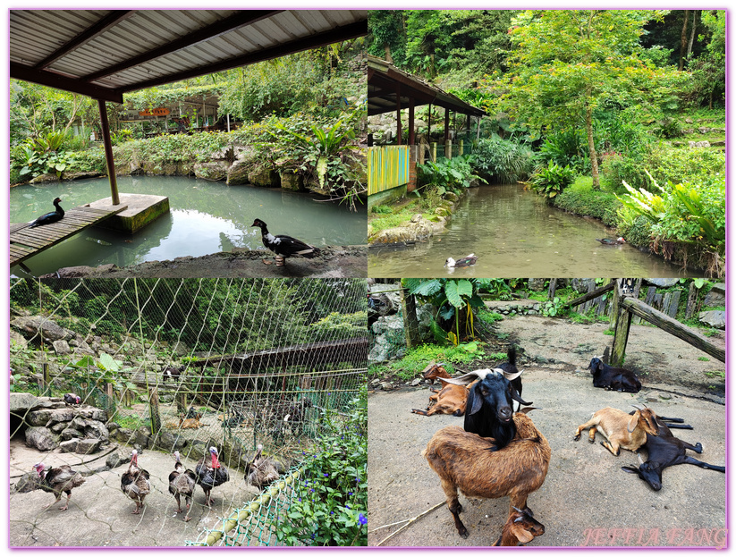 台灣旅遊,宜蘭,宜蘭度假村,宜蘭農場,環境教育農場,農業三生,頭城農場