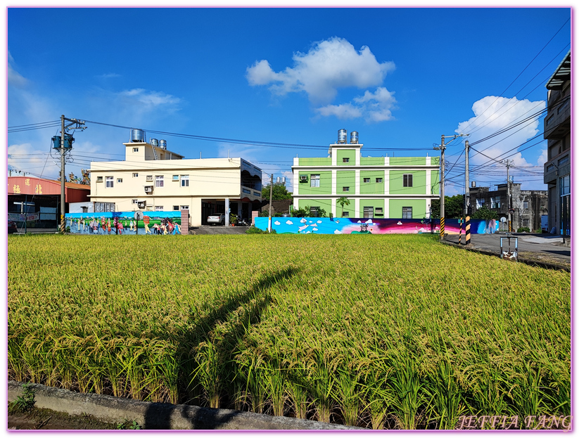 台灣旅遊,和美卡里善之樹,地方創生,彰化旅行 ,彰化旅遊,彰化網美新路線,旅庫彰化,社區營造 @傑菲亞娃JEFFIA FANG