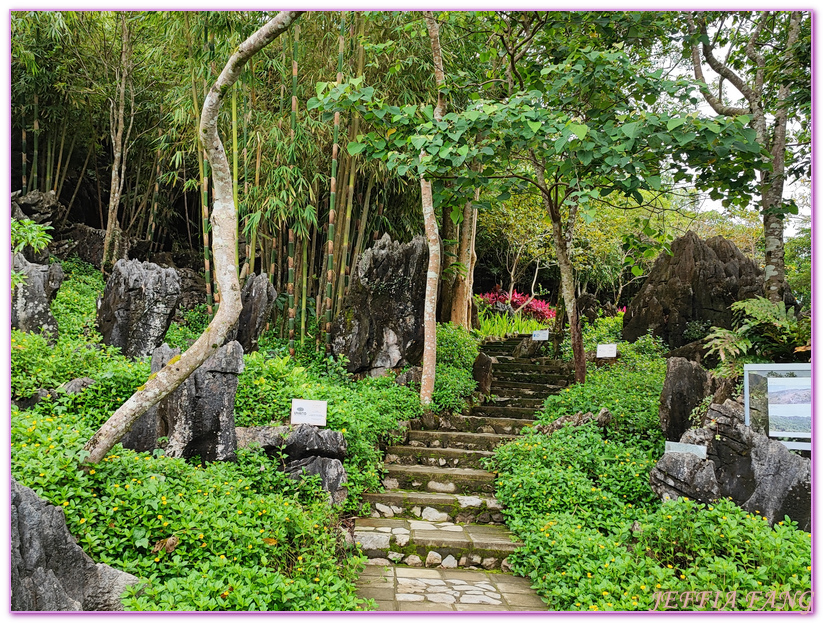 Masungi Georeserve,健行保護區,地質公園,菲律賓,馬尼拉,馬蘇尼自然野生動物保護區