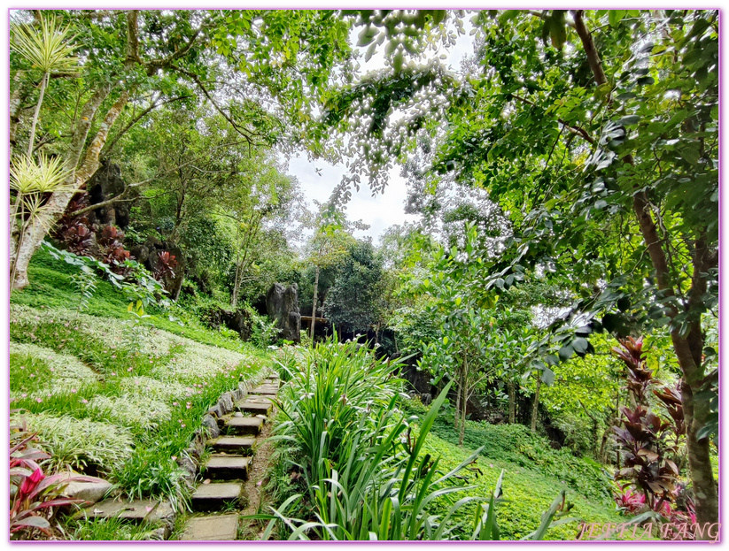 Masungi Georeserve,健行保護區,地質公園,菲律賓,馬尼拉,馬蘇尼自然野生動物保護區