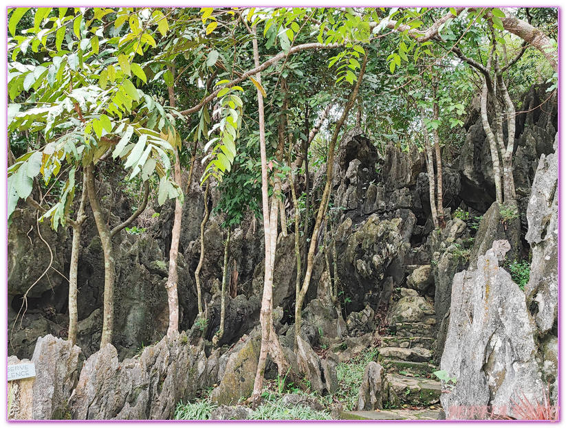 Masungi Georeserve,健行保護區,地質公園,菲律賓,馬尼拉,馬蘇尼自然野生動物保護區