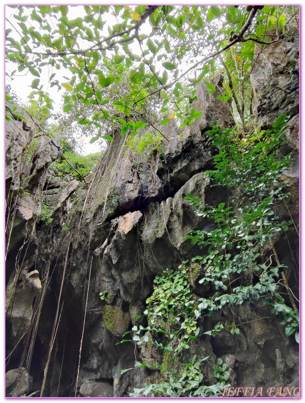 Masungi Georeserve,健行保護區,地質公園,菲律賓,馬尼拉,馬蘇尼自然野生動物保護區