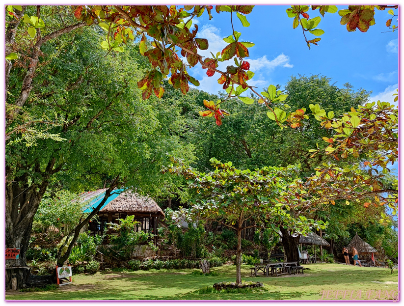 Banana Island,Bulog Dos Island,Malcapuya Island,巴拉望,白三灘三島,科隆,菲律賓,馬尼拉