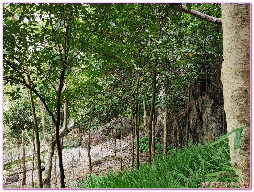 Masungi Georeserve,健行保護區,地質公園,菲律賓,馬尼拉,馬蘇尼自然野生動物保護區