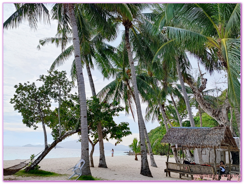 Banana Island,Bulog Dos Island,Malcapuya Island,巴拉望,白三灘三島,科隆,菲律賓,馬尼拉