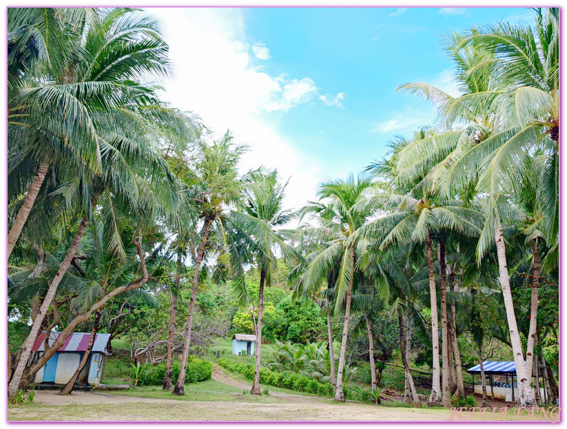 Banana Island,Bulog Dos Island,Malcapuya Island,巴拉望,白三灘三島,科隆,菲律賓,馬尼拉