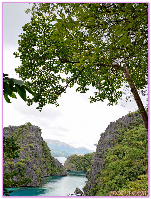 Coron Island Hopping,Palawan,Philippine,七子礁岩Siete Pecados,凱央根湖Kayangan Lake,巴拉望,珊瑚花園Coral Garden,科隆,菲律賓,雙子環礁Twin Lagoons