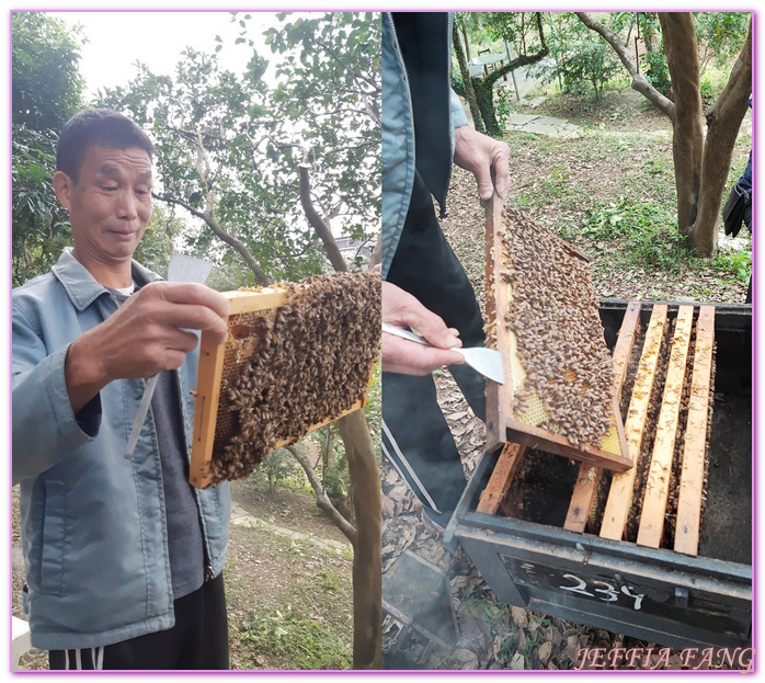 三芝牧蜂農場,三芝觀景平台,新北市旅遊,淺水灣,白沙灣,皇冠海岸觀光圈,石門富貴角,老梅綠石槽,雙灣自行車道