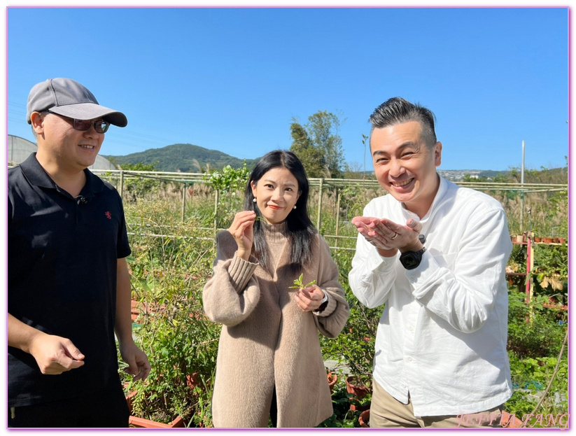 交通部觀光局北海岸及觀音山風景管理處,台灣旅遊,坵隱農場,新北市旅遊,新北金山,皇冠海岸觀光圈,蚯蚓循環農場