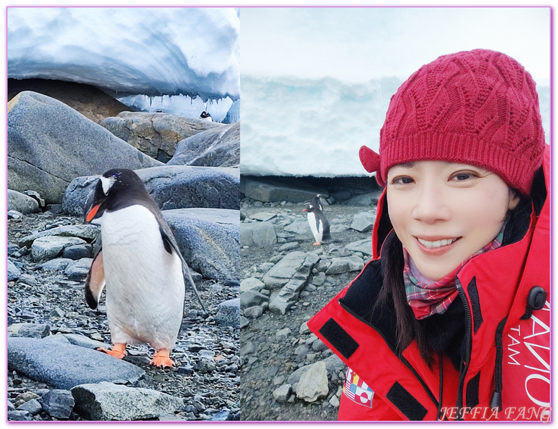 南極Antarctica,南極旅遊,多里安灣 Dorian Bay,庫佛維爾島Cuverville island,極地之旅,達莫角 Damoy Point,鳳凰旅遊,龐洛PONANT郵輪星輝號LE LYRIAL