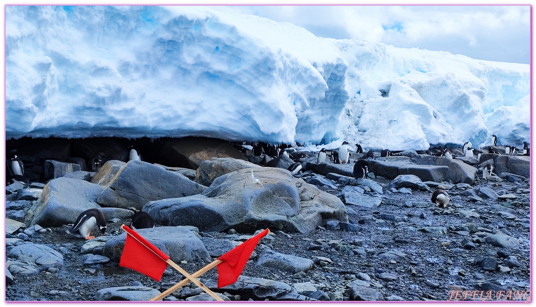 南極Antarctica,南極旅遊,多里安灣 Dorian Bay,庫佛維爾島Cuverville island,極地之旅,達莫角 Damoy Point,鳳凰旅遊,龐洛PONANT郵輪星輝號LE LYRIAL