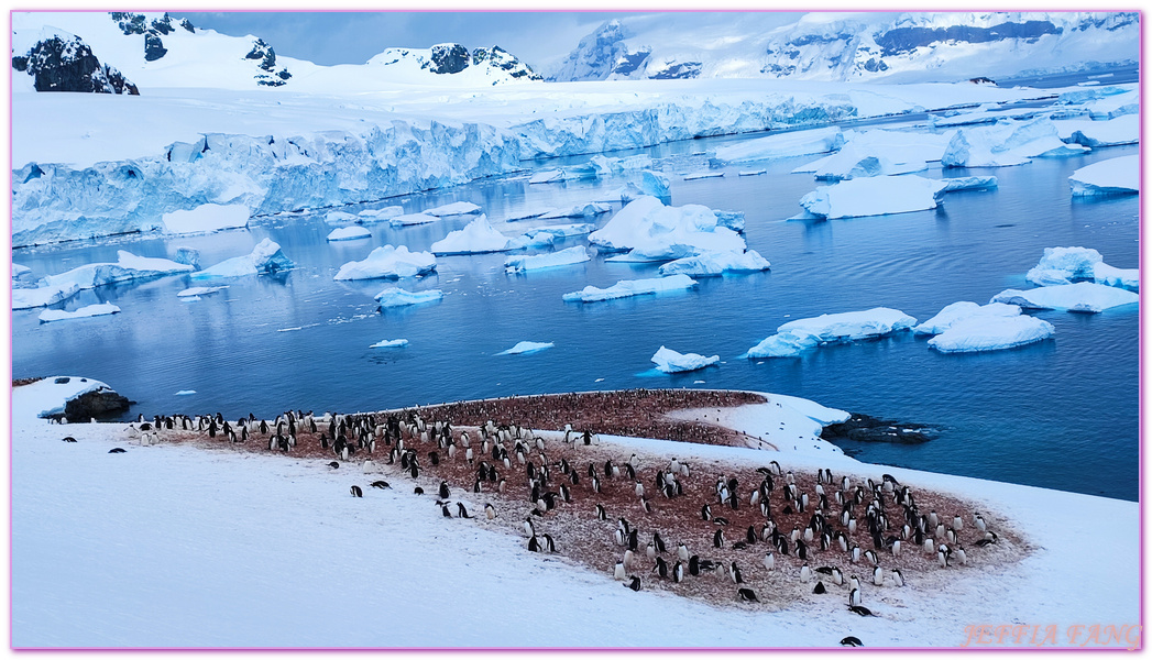 南極Antarctica,南極旅遊,多里安灣 Dorian Bay,庫佛維爾島Cuverville island,極地之旅,達莫角 Damoy Point,鳳凰旅遊,龐洛PONANT郵輪星輝號LE LYRIAL