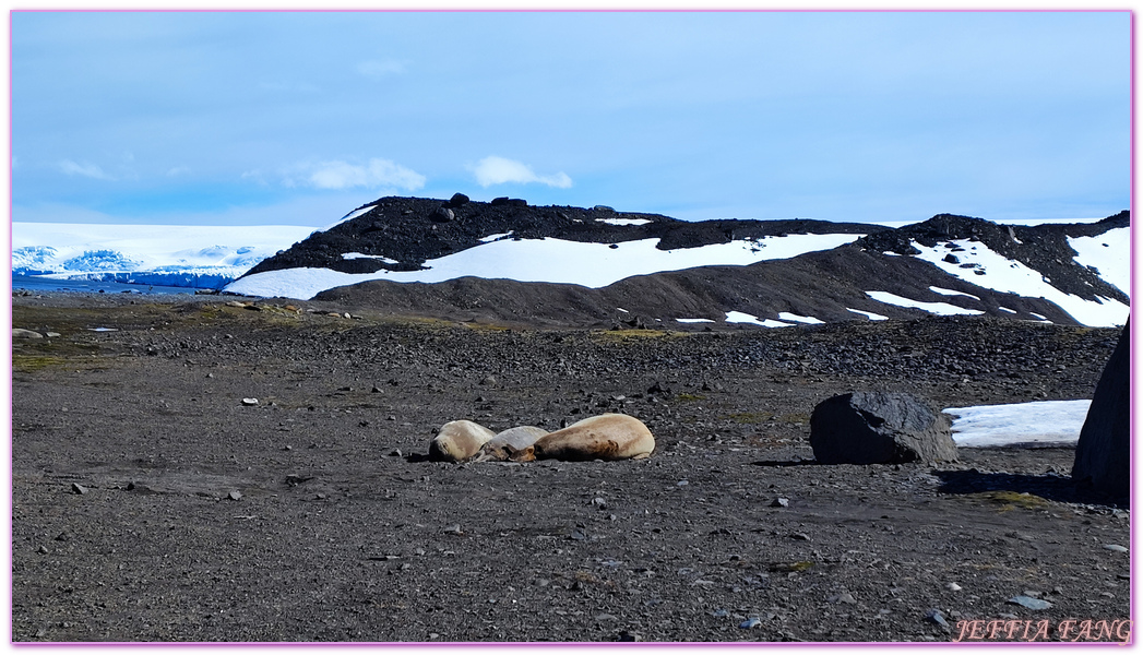 Antarctica,企鵝島Penguin Island,利文斯頓島Livingston Island,南極巡遊,南極旅遊,南極登島,南設得蘭群島South Shetlands,星輝號Le Lyrial,極地之旅,欺騙島,沃克灣漢那角Walker Bay in Hannah Point,特勒風灣Telefon Bay,迪塞普遜島Deception Island,迪肯峰Deacon Peak,鳳凰旅遊,龐洛PONANT郵輪