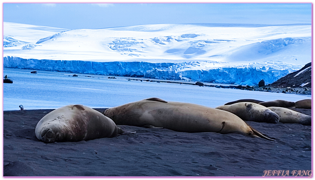 Antarctica,企鵝島Penguin Island,利文斯頓島Livingston Island,南極巡遊,南極旅遊,南極登島,南設得蘭群島South Shetlands,星輝號Le Lyrial,極地之旅,欺騙島,沃克灣漢那角Walker Bay in Hannah Point,特勒風灣Telefon Bay,迪塞普遜島Deception Island,迪肯峰Deacon Peak,鳳凰旅遊,龐洛PONANT郵輪