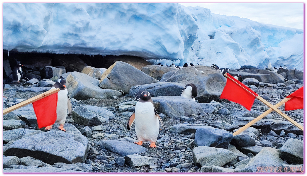 南極Antarctica,南極旅遊,多里安灣 Dorian Bay,庫佛維爾島Cuverville island,極地之旅,達莫角 Damoy Point,鳳凰旅遊,龐洛PONANT郵輪星輝號LE LYRIAL