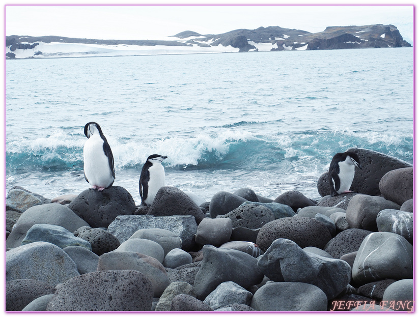 Antarctica,企鵝島Penguin Island,利文斯頓島Livingston Island,南極巡遊,南極旅遊,南極登島,南設得蘭群島South Shetlands,星輝號Le Lyrial,極地之旅,欺騙島,沃克灣漢那角Walker Bay in Hannah Point,特勒風灣Telefon Bay,迪塞普遜島Deception Island,迪肯峰Deacon Peak,鳳凰旅遊,龐洛PONANT郵輪