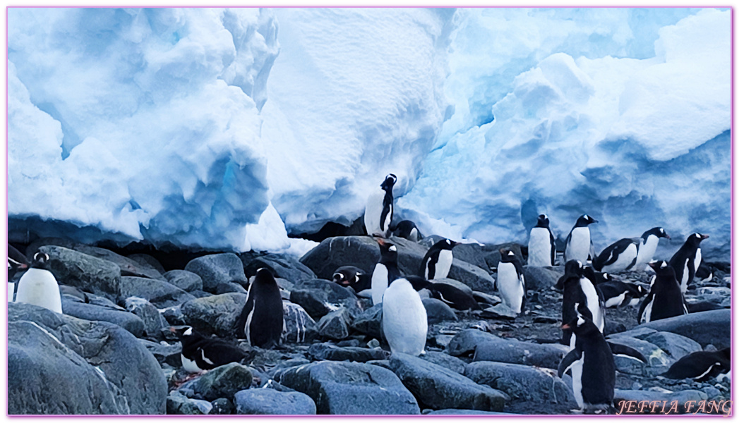 南極Antarctica,南極旅遊,多里安灣 Dorian Bay,庫佛維爾島Cuverville island,極地之旅,達莫角 Damoy Point,鳳凰旅遊,龐洛PONANT郵輪星輝號LE LYRIAL