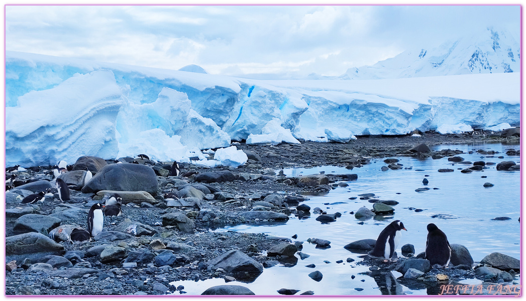 南極Antarctica,南極旅遊,多里安灣 Dorian Bay,庫佛維爾島Cuverville island,極地之旅,達莫角 Damoy Point,鳳凰旅遊,龐洛PONANT郵輪星輝號LE LYRIAL