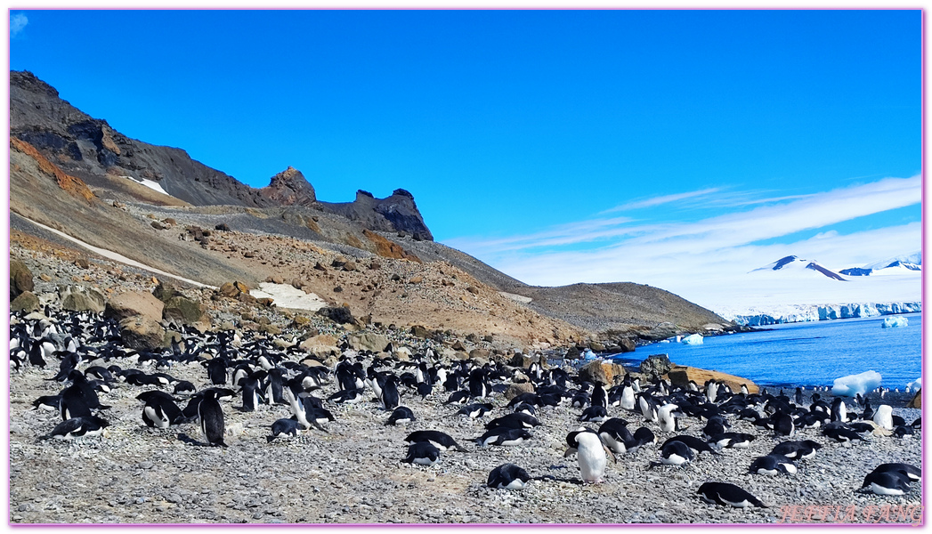 Antarctica,世界極地之旅,企鵝公路,企鵝孵蛋,企鵝跳水,南極旅遊,威德爾海峽Weddell Sea,布朗海崖Brown Bluff,平頂冰山,龐洛PONANT郵輪星輝號LE LYRIAL