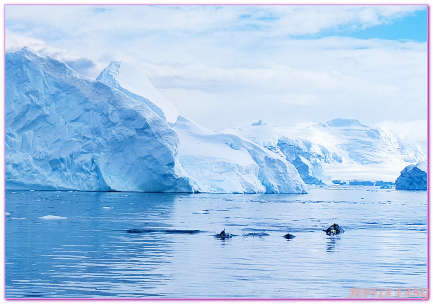 南極Antarctica,南極旅遊,多里安灣 Dorian Bay,庫佛維爾島Cuverville island,極地之旅,達莫角 Damoy Point,鳳凰旅遊,龐洛PONANT郵輪星輝號LE LYRIAL