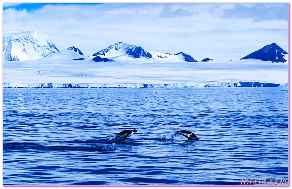 Antarctica,世界極地之旅,企鵝公路,企鵝孵蛋,企鵝跳水,南極旅遊,威德爾海峽Weddell Sea,布朗海崖Brown Bluff,平頂冰山,龐洛PONANT郵輪星輝號LE LYRIAL