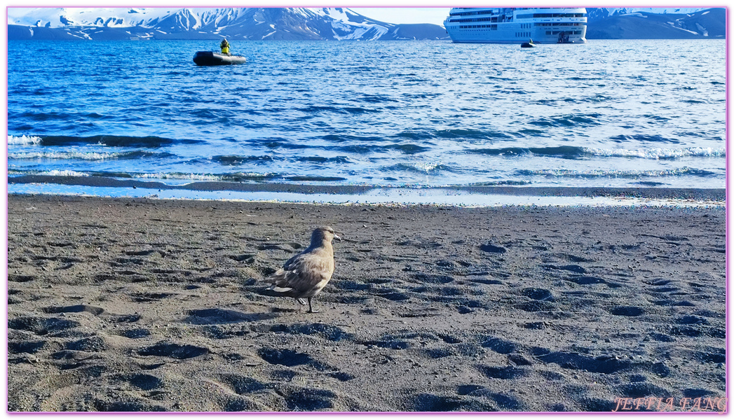 Antarctica,企鵝島Penguin Island,利文斯頓島Livingston Island,南極巡遊,南極旅遊,南極登島,南設得蘭群島South Shetlands,星輝號Le Lyrial,極地之旅,欺騙島,沃克灣漢那角Walker Bay in Hannah Point,特勒風灣Telefon Bay,迪塞普遜島Deception Island,迪肯峰Deacon Peak,鳳凰旅遊,龐洛PONANT郵輪