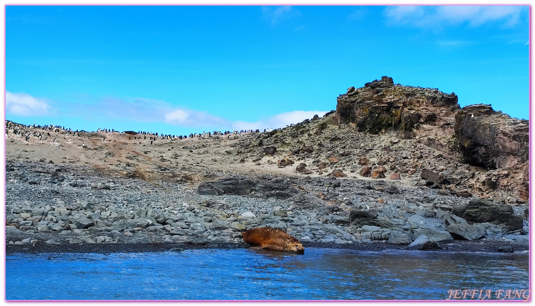 Antarctica,企鵝島Penguin Island,利文斯頓島Livingston Island,南極巡遊,南極旅遊,南極登島,南設得蘭群島South Shetlands,星輝號Le Lyrial,極地之旅,欺騙島,沃克灣漢那角Walker Bay in Hannah Point,特勒風灣Telefon Bay,迪塞普遜島Deception Island,迪肯峰Deacon Peak,鳳凰旅遊,龐洛PONANT郵輪