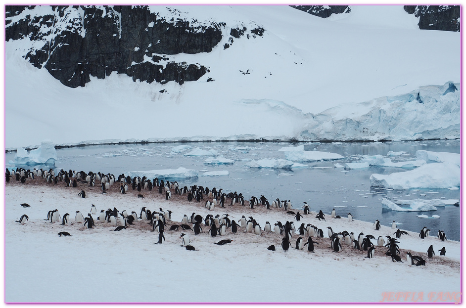 南極Antarctica,南極旅遊,多里安灣 Dorian Bay,庫佛維爾島Cuverville island,極地之旅,達莫角 Damoy Point,鳳凰旅遊,龐洛PONANT郵輪星輝號LE LYRIAL