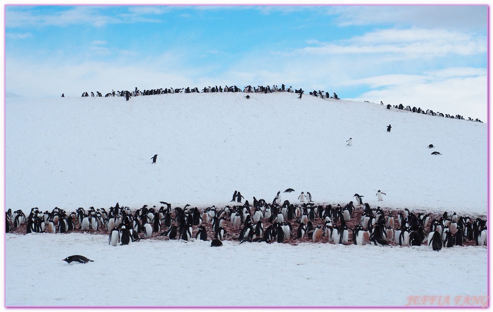 南極Antarctica,南極旅遊,多里安灣 Dorian Bay,庫佛維爾島Cuverville island,極地之旅,達莫角 Damoy Point,鳳凰旅遊,龐洛PONANT郵輪星輝號LE LYRIAL