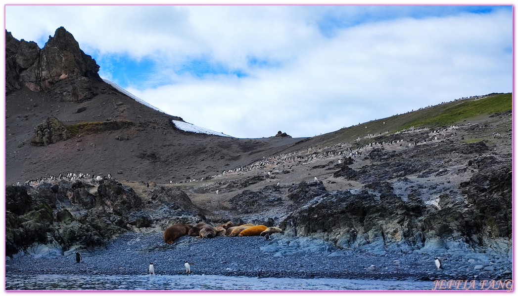 Antarctica,企鵝島Penguin Island,利文斯頓島Livingston Island,南極巡遊,南極旅遊,南極登島,南設得蘭群島South Shetlands,星輝號Le Lyrial,極地之旅,欺騙島,沃克灣漢那角Walker Bay in Hannah Point,特勒風灣Telefon Bay,迪塞普遜島Deception Island,迪肯峰Deacon Peak,鳳凰旅遊,龐洛PONANT郵輪