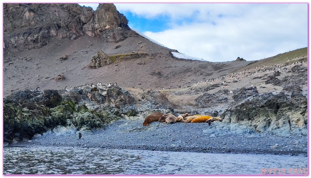 Antarctica,企鵝島Penguin Island,利文斯頓島Livingston Island,南極巡遊,南極旅遊,南極登島,南設得蘭群島South Shetlands,星輝號Le Lyrial,極地之旅,欺騙島,沃克灣漢那角Walker Bay in Hannah Point,特勒風灣Telefon Bay,迪塞普遜島Deception Island,迪肯峰Deacon Peak,鳳凰旅遊,龐洛PONANT郵輪