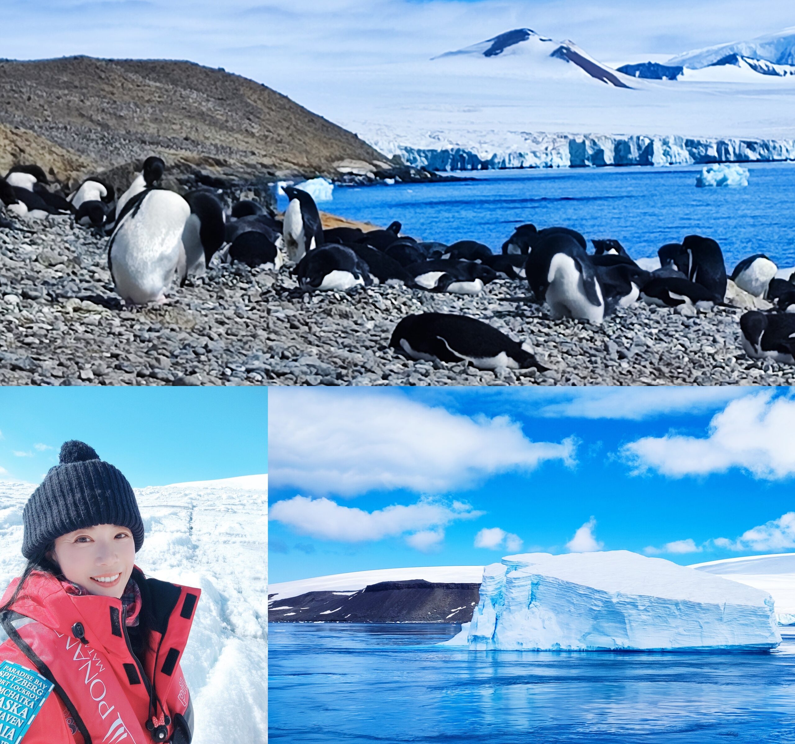 ◎極地之旅【南極Antarctica】(六) 龐洛PONANT郵輪『星輝號LE LYRIAL』之南極登島、巡遊Part 4【布朗海崖、威德爾海峽】企鵝公路、企鵝跳水…平頂冰山 @嘿!部落!