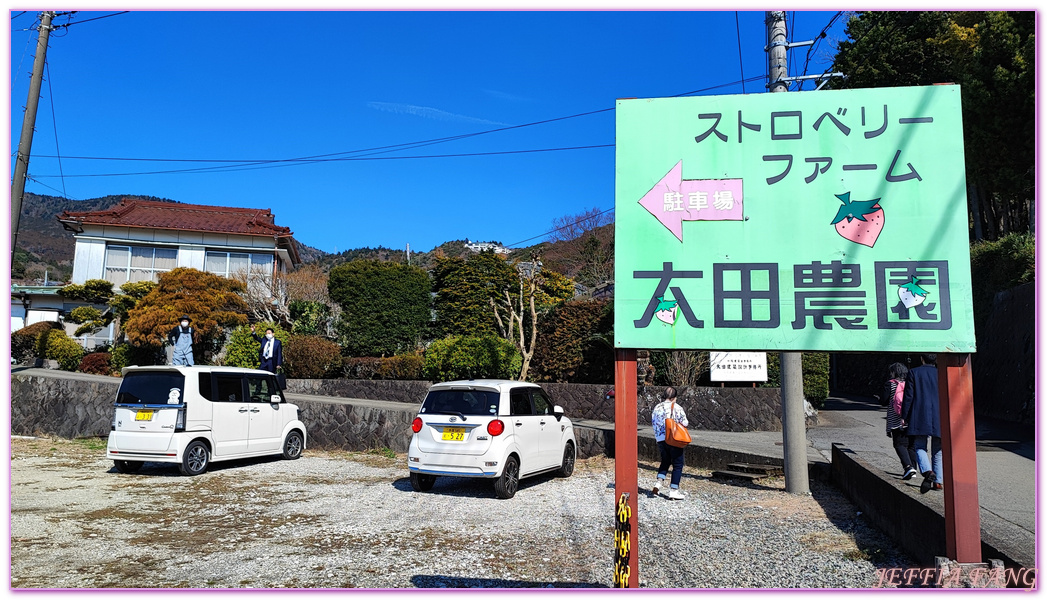 ストロベリーファーム,伊豆半島,太田農園,採草莓,日本旅遊,東伊豆町觀光協會,靜岡縣