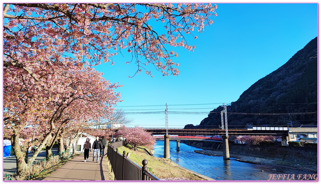 Izu Peninsula,Kawazu,Shizuoka,伊豆半島,日本中部地方,日本女兒節,日本旅遊,東伊豆町觀光協會,河津櫻,河津町,素盞鳴神社,雛祭,靜岡