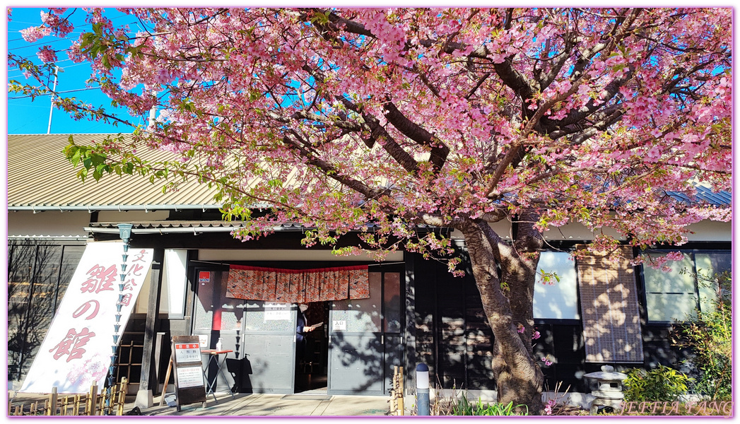 HIGASHI IZU,INATORI,伊豆半島IZU PENINSULA,文化公園雛之館,日本女兒節,日本旅遊,東伊豆町,稻取,素盞鳴神社,雛吊飾,雛祭,靜岡SHIZUOKA