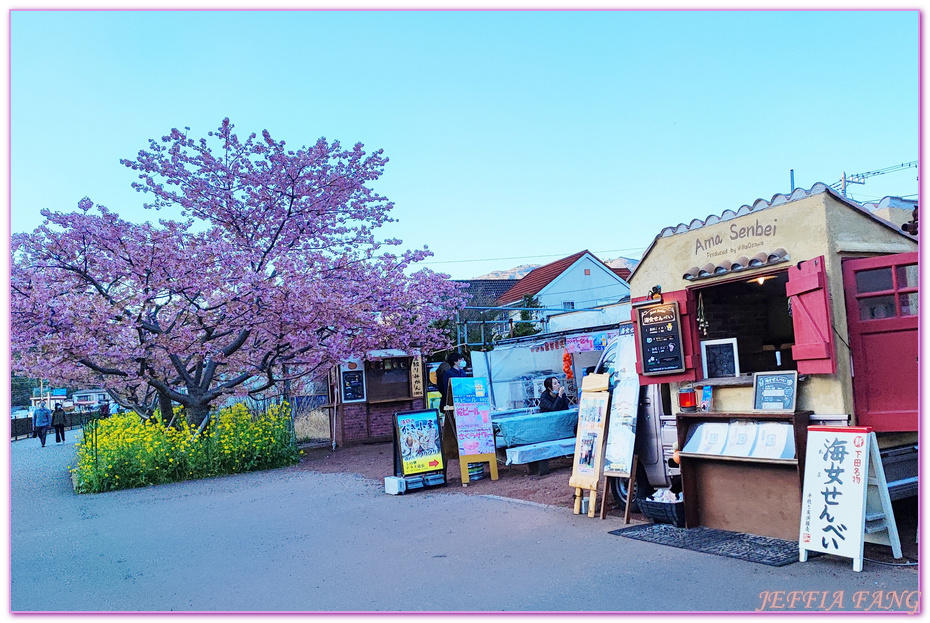 Izu Peninsula,Kawazu,Shizuoka,伊豆半島,日本中部地方,日本女兒節,日本旅遊,東伊豆町觀光協會,河津櫻,河津町,素盞鳴神社,雛祭,靜岡