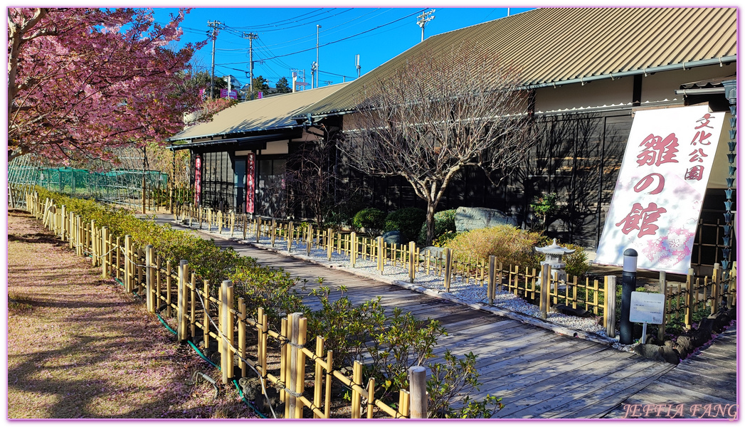 HIGASHI IZU,INATORI,伊豆半島IZU PENINSULA,文化公園雛之館,日本女兒節,日本旅遊,東伊豆町,稻取,素盞鳴神社,雛吊飾,雛祭,靜岡SHIZUOKA