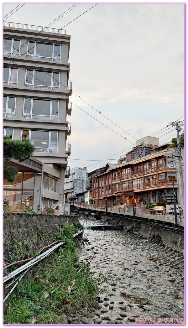 HIGASHI IZU,Izu Atagawa ryokan Yubanamankai,伊豆半島,日本旅遊,東伊豆町觀光協會,湯花滿開,熱川溫泉Kanagawa,靜岡縣