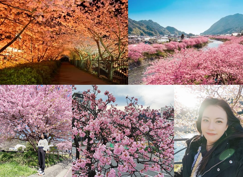 網站近期文章：◎日本「中部地方」靜岡伊豆半島【河津町】浪漫的櫻花祭；2023年女兒節的「雛祭」展到3月底￼