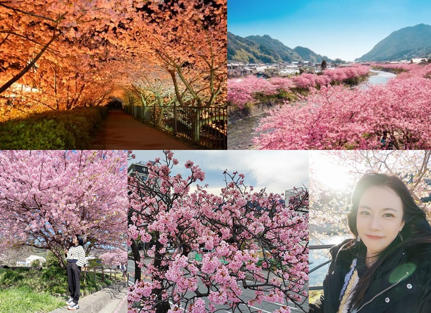 Izu Peninsula,Kawazu,Shizuoka,伊豆半島,日本中部地方,日本女兒節,日本旅遊,東伊豆町觀光協會,河津櫻,河津町,素盞鳴神社,雛祭,靜岡 @傑菲亞娃 JEFFIA FANG