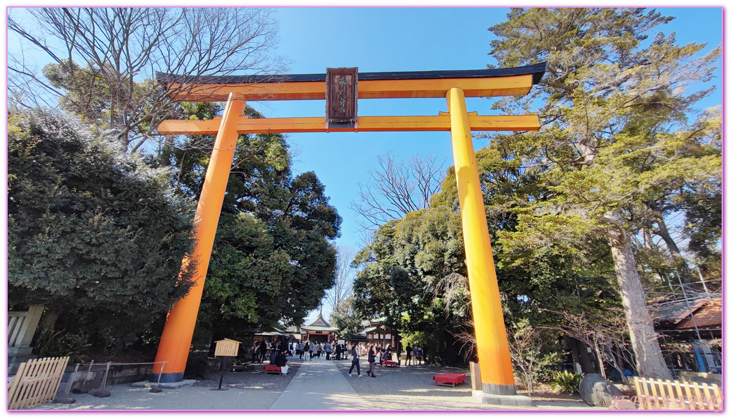 冰川神社,埼玉縣Saitama ken,川越 Kawagoe,川越優惠周遊券,川越小江戶,川越時之鐘,川越藏造老街,川越雄野神社,日本旅遊,東京北關東,東京自由行