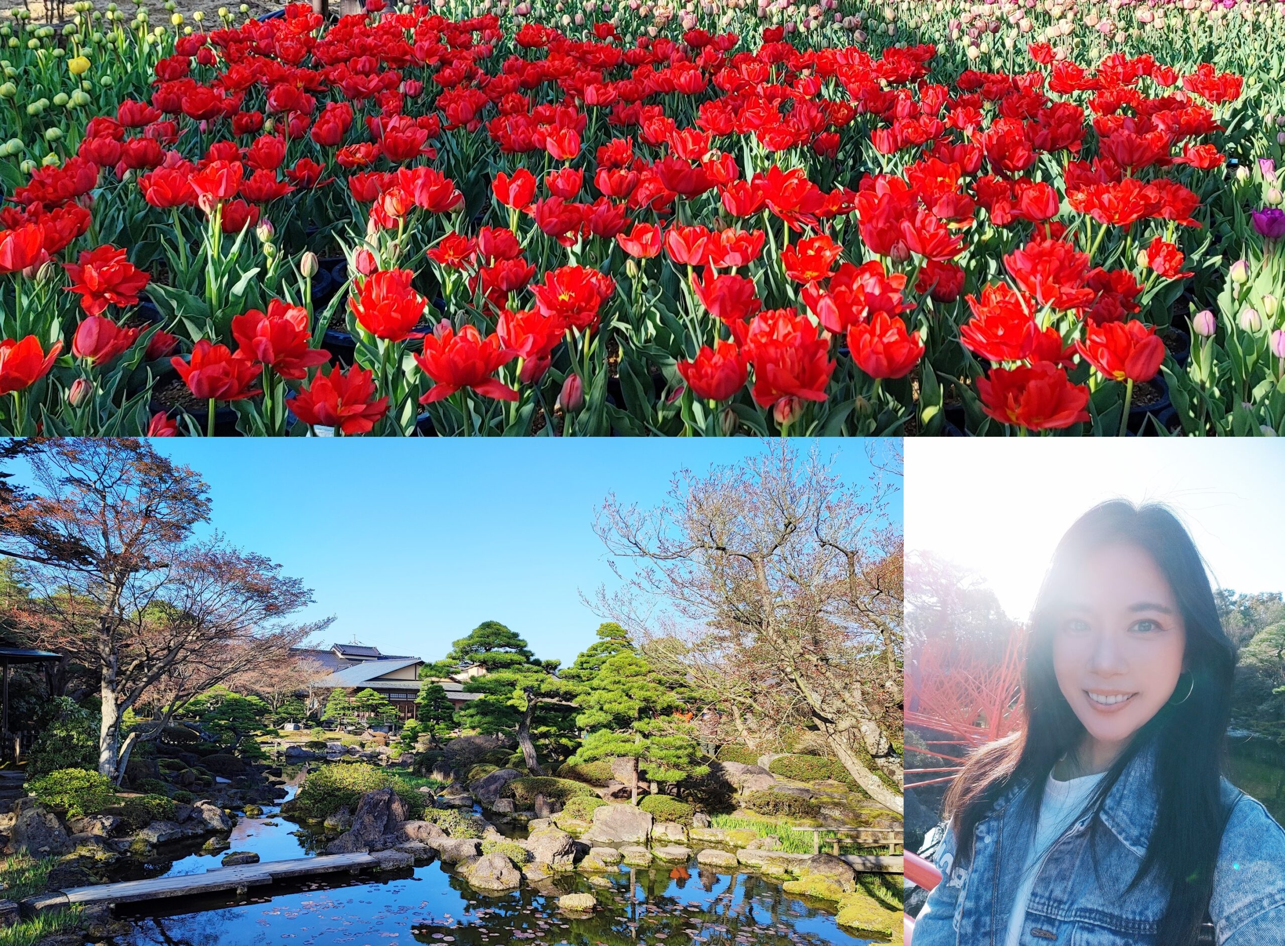 日本島根由志園