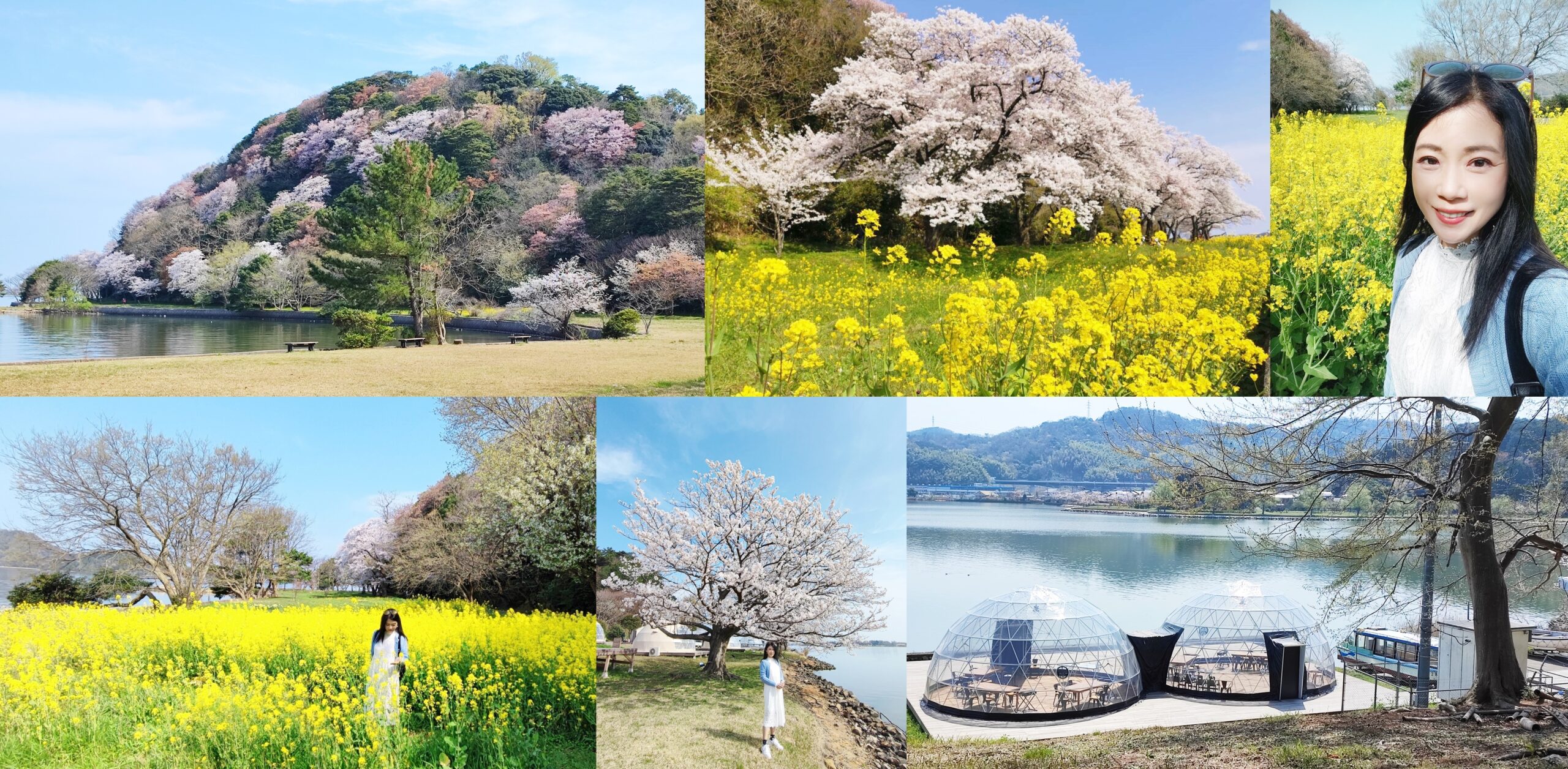 ◎日本中國地方山陰鳥取縣【湖山池公園「青島」】粉紅、水藍、鮮綠、澄黃的春色無邊 @嘿!部落!